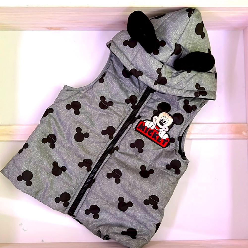 Disney Jr. Fleece lined vest. Size 5T